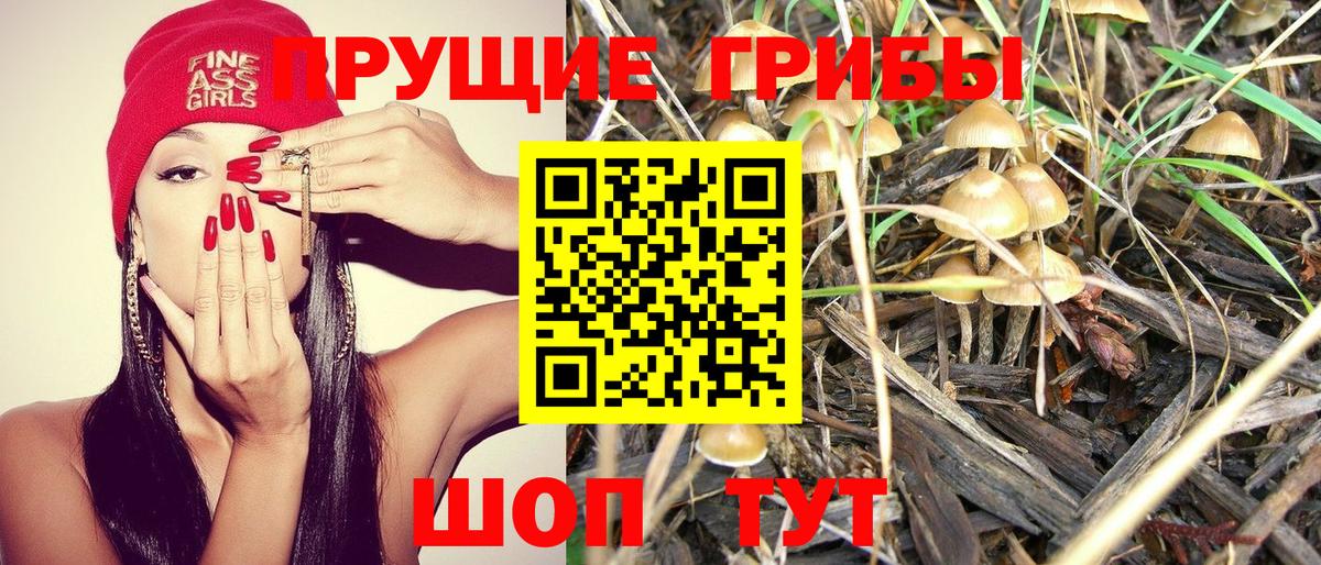 Учалы  Галлюциногенные грибы прущие грибы  Вход с VPN 